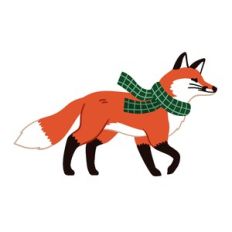 Winter Fox walking