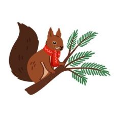 Winter Squirrel on Tree Branch