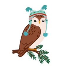 Owl with Winter Hat