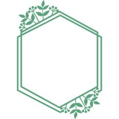 polygon leaves frame
