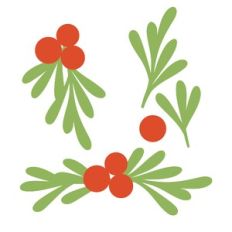 Mistletoe Berries and Leaves