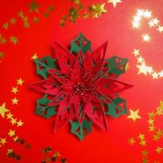 Poinsettia 1