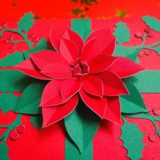 Poinsettia 2