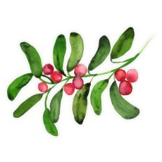 Christmas Red Berry Watercolor Mistletoe Branch Print and Cut