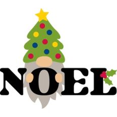 Noel Gnome