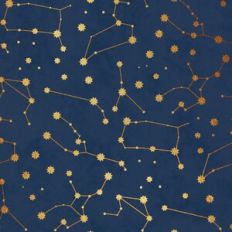 Gold Foil Constellations