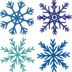 Snowflakes