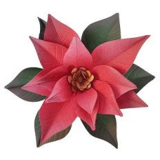 Simple poinsettia