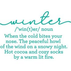 Winter Definition