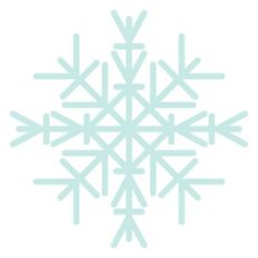Snowflake 13