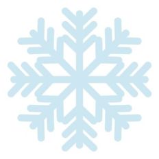 Snowflake 16