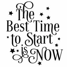 The Best Time To Start Is Now Quote