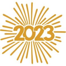 firework 2023
