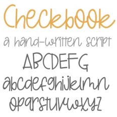ZP Checkbook