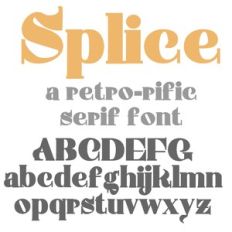ZP Splice Bold