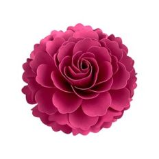 Flower 161