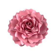 Flower 162