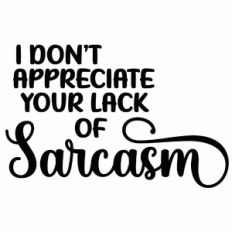 I Don't Appreciate Your Lack of Sarcasm