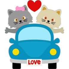love cats car