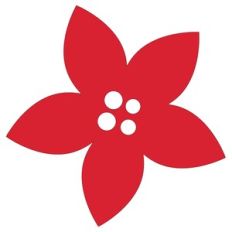 Christmas Flower