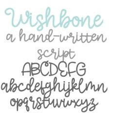 PN Wishbone Bold