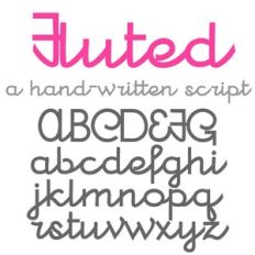 ZP Fluted Bold