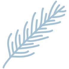 Winter Sprig
