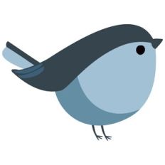 Winter Bird