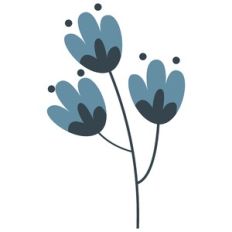 Winter Wildflowers