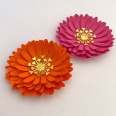 Flower 164