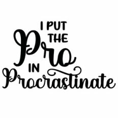 I Put The Pro In Procrastinate