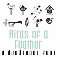 Birds of a Feather Doodlebat Font