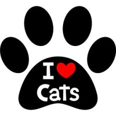 i love cats