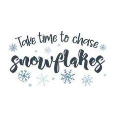 Take Time To Chase Snowflakes