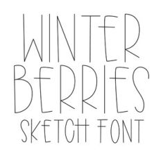 BFC Winter Berries Handwriting Sketch Font