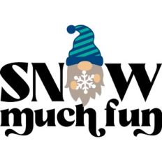 Snow Much Fun