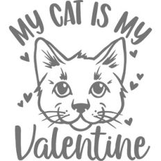 my cat is my valentine