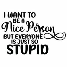 I Want To Be A Nice Person But Everyone Is Just So Stupid Quote
