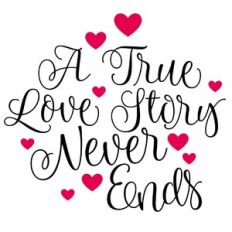 A True Love Story Never Ends Quote