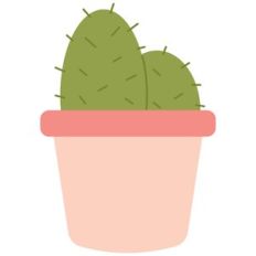 Cacti