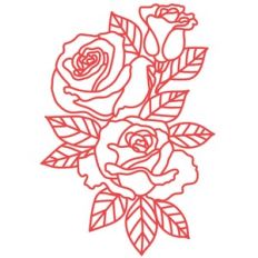 roses