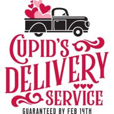 Cupid's Delivery Service