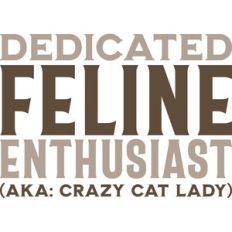 Dedicated Feline Enthusiast