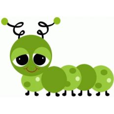 caterpillar bug insect