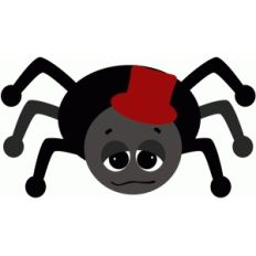 spider with hat bugs insects