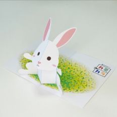 Pop up Rabbit