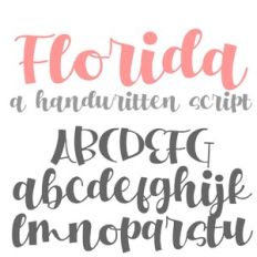 ZP Florida
