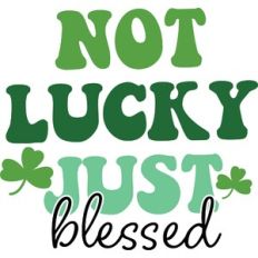 not lucky just blessed