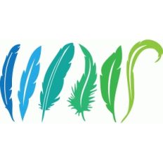 feathers