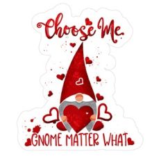Choose me Gnome Matter What